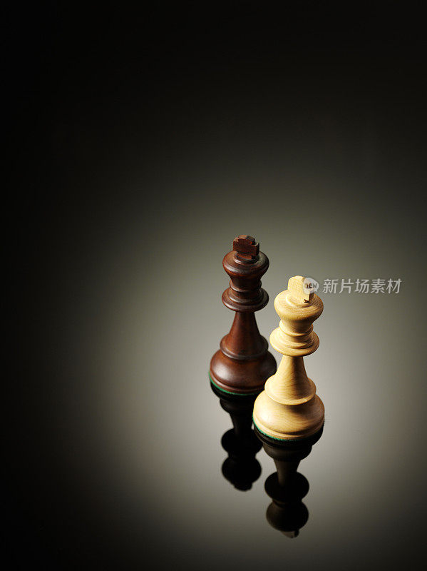 两个国际象棋王