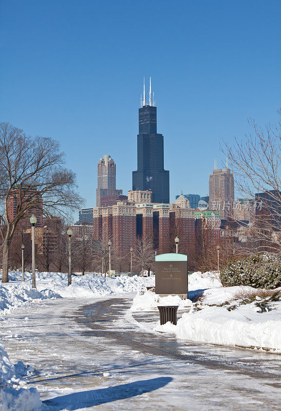 冬天的芝加哥天际线