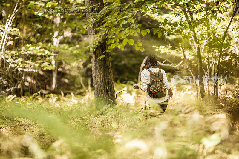 少女在森林里徒步旅行