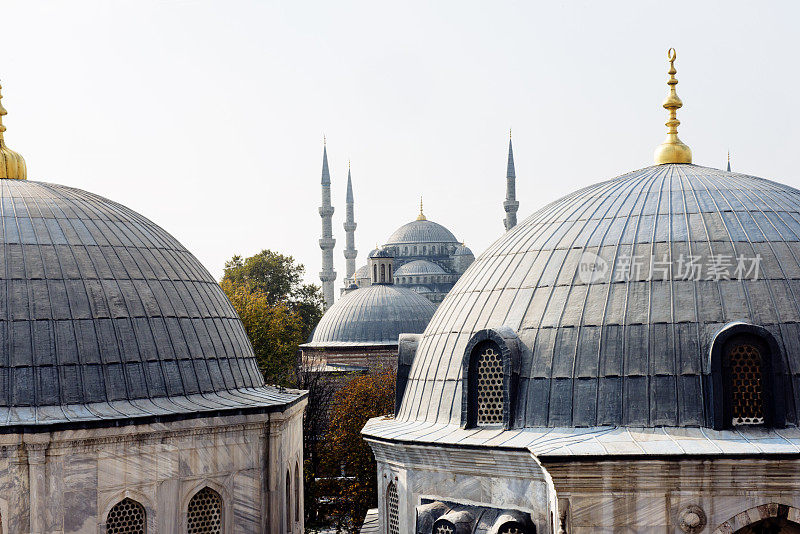 土耳其伊斯坦布尔法提赫的穹顶蓝色清真寺