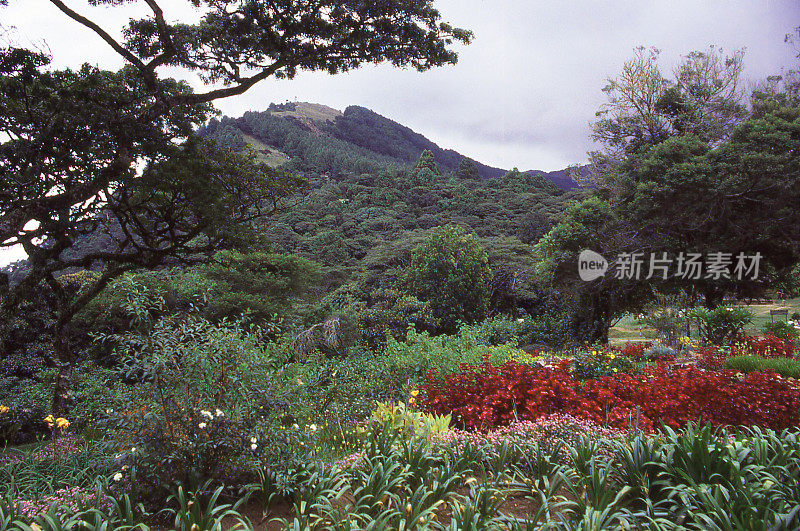 花园俯瞰松巴自然保护区和非洲马拉维松巴裂谷