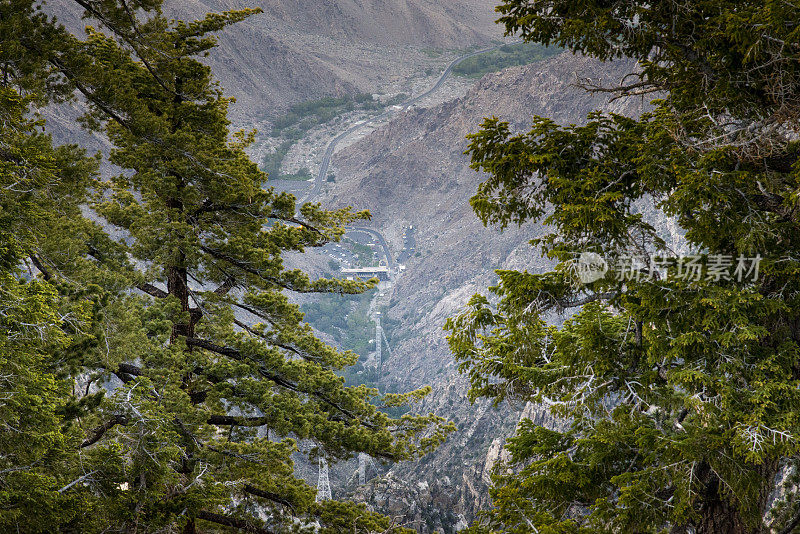 科切拉山谷和棕榈泉