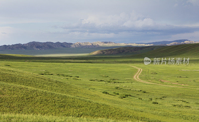 蒙古景观