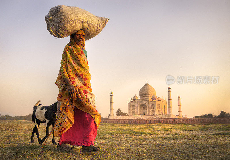 印度一名头上顶着谷物的妇女