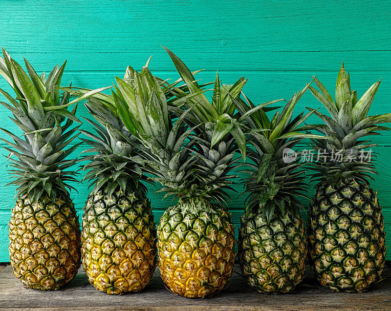 新鲜的双头热带菠萝放在一排菠萝中间，放在一张质朴的木桌上，背景是绿松石色的木墙。