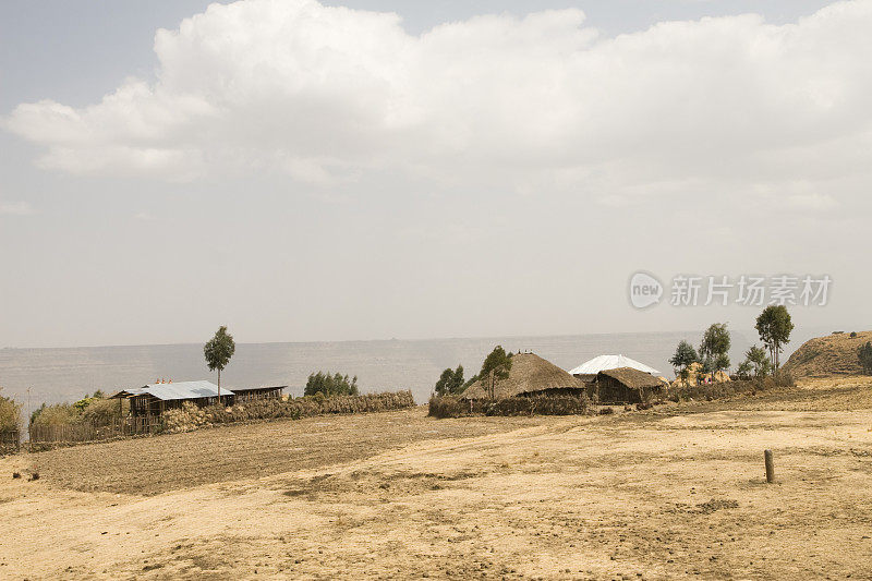 埃塞俄比亚的非洲农场