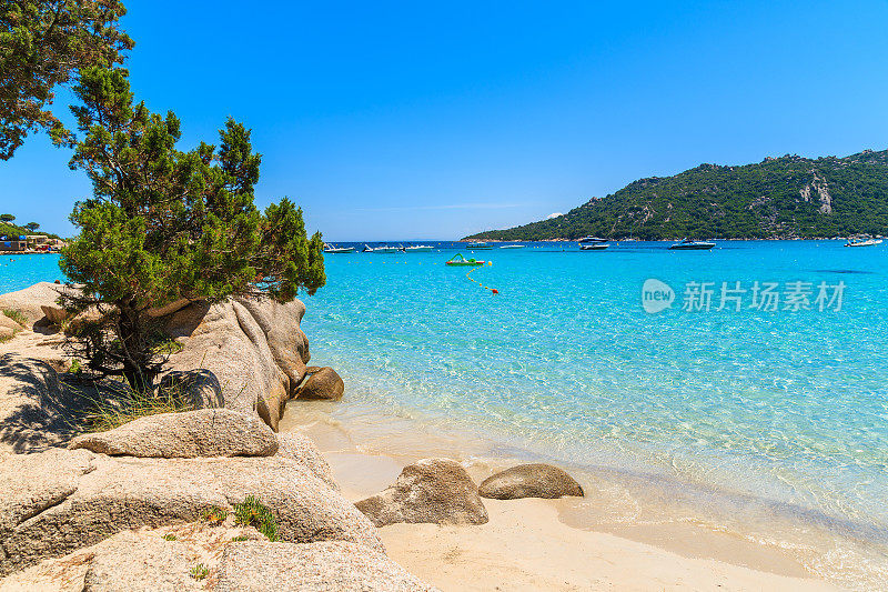 法国科西嘉岛圣朱利亚海滩清澈的绿松石海水