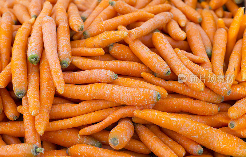一大堆美味的小胡萝卜