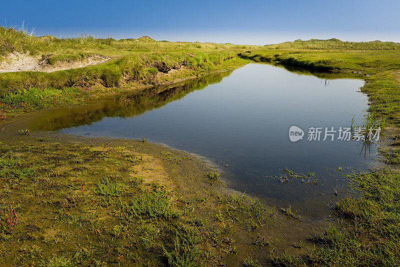 典型的北海景观