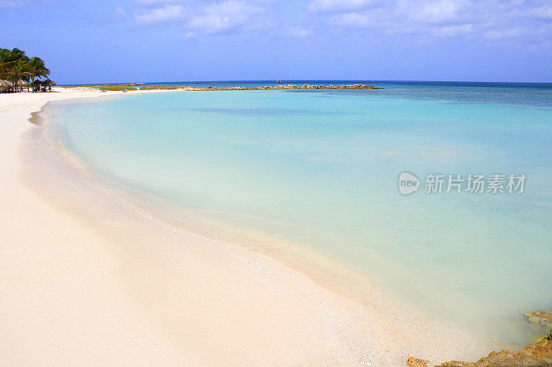 palapas和田园诗般的棕榈海滩，热带海滩，阳光明媚的蓝绿色泻湖，夏天的天堂，阿鲁巴-荷属安的列斯群岛，加勒比海蓝色的海