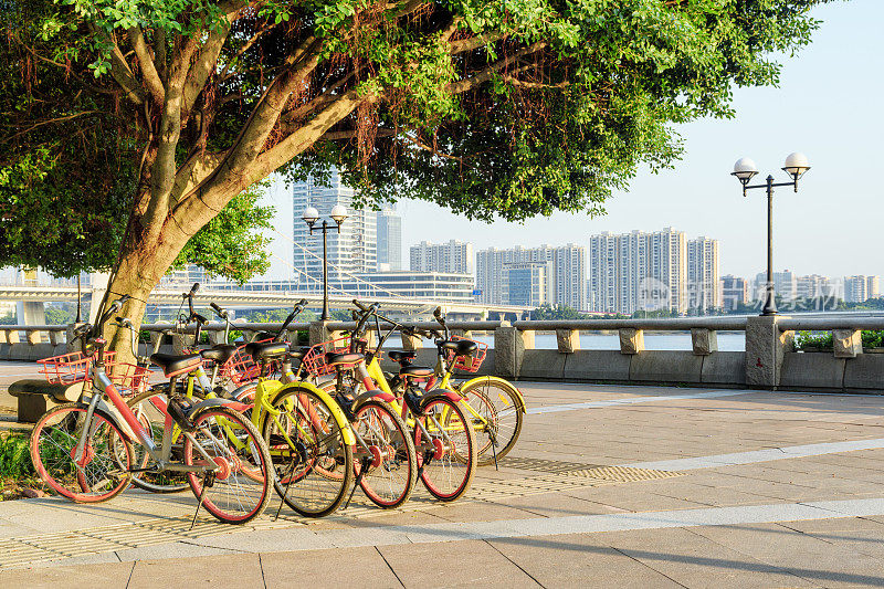 岸边绿树旁五颜六色的公共租赁自行车