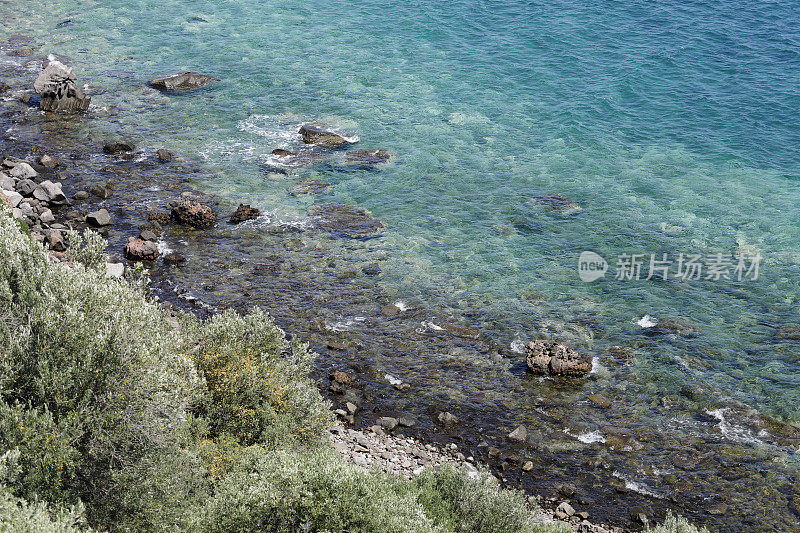 橄榄树与绿松石海