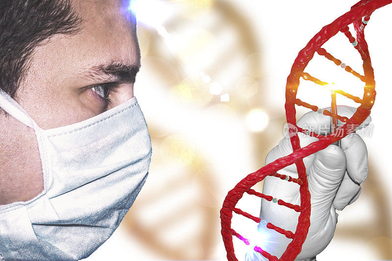 基因操纵概念与实验室技术员实验室医生与手套手操纵基因组科学家和DNA