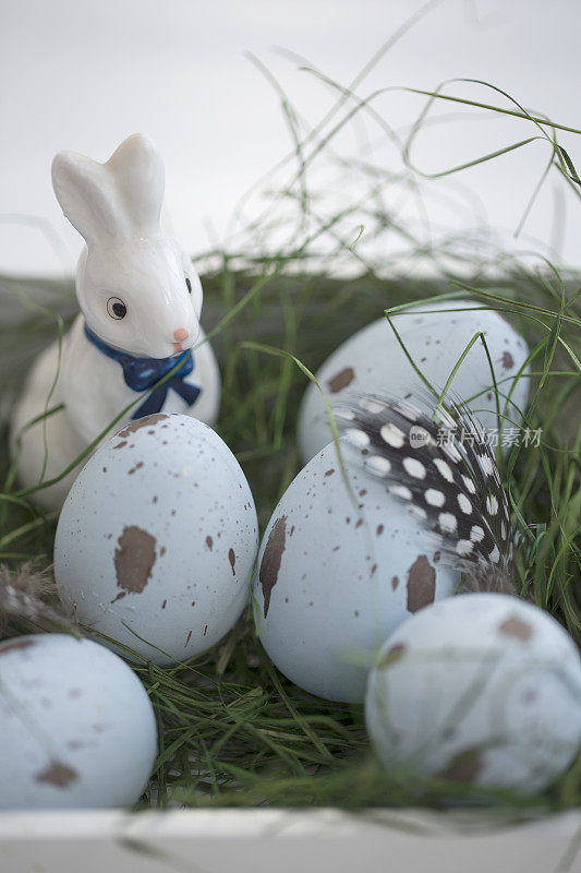 复活节彩蛋在绿色的草地上。水平面上的白色装饰盒。复活节兔子