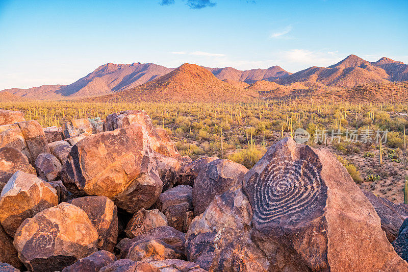 亚利桑那州萨瓜罗国家公园信号山的古老岩画