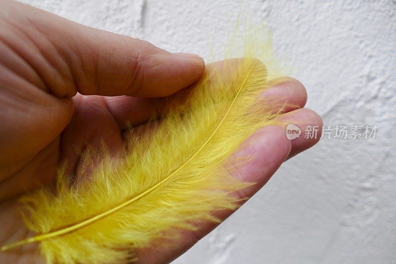 一根黄色的羽毛躺在手掌上
