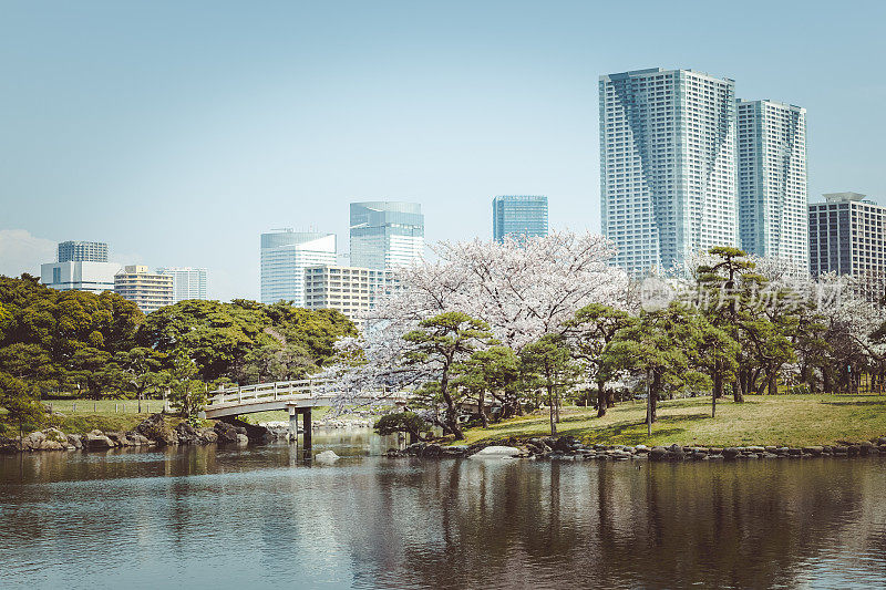 日本东京滨离宫花园