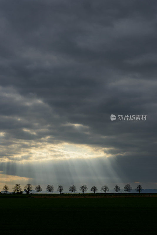 阴云密布的天空中，阳光冲破乌云，掠过树木的剪影