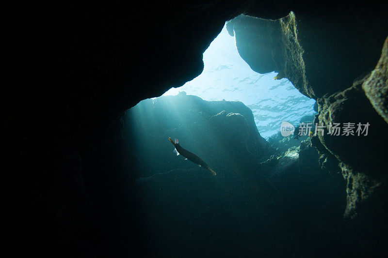 水下洞穴仰视