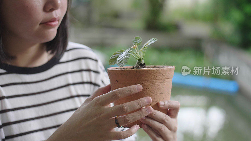 年轻女子把绿色的幼苗种植在新鲜的土壤里。她喜欢在后院休息。