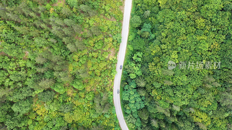 穿越森林的公路旅行