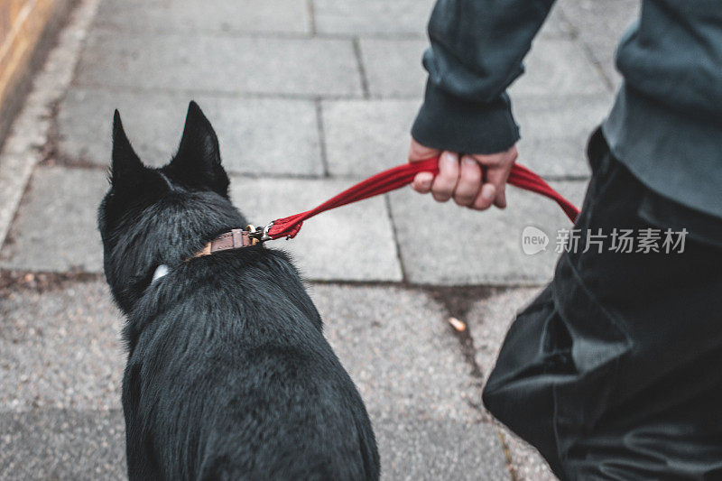 一个牵着狗的男人