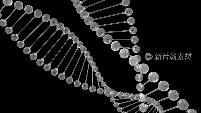 金属DNA螺旋