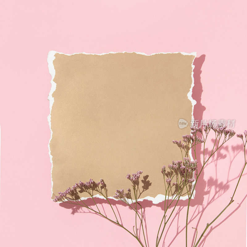 春天的创意布局与紫色的花在米色撕碎的纸和柔和的粉红色背景。80年代、90年代复古浪漫唯美的夏日概念。简约超现实的时尚绽放理念。
