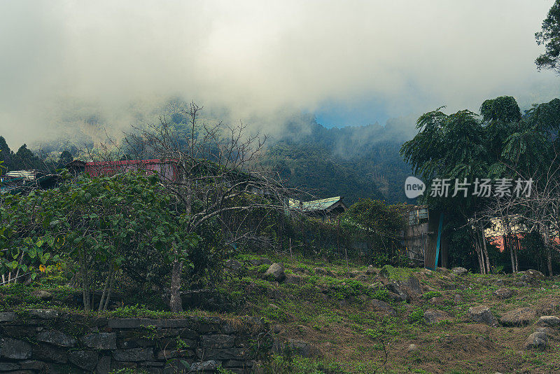 在台湾汾岐湖的阿里山、嘉义，生活在云村包围之中。