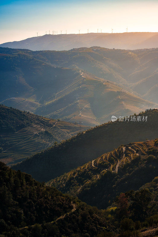 杜洛山谷葡萄园的风景