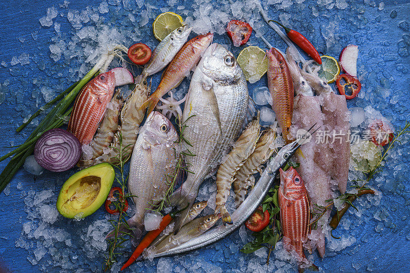 用冰块、柠檬片、香草和蔬菜装饰的各种新鲜鱼类和海鲜的高角视角