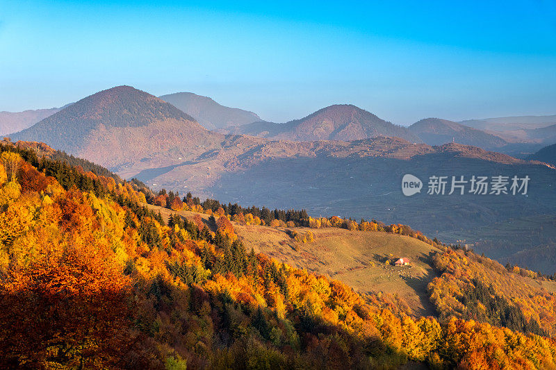 秋天的风景