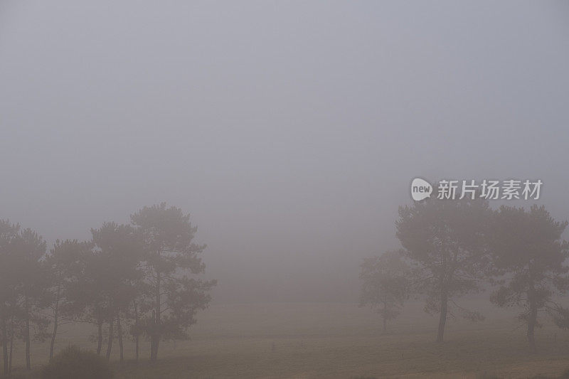 雾秋天的风景