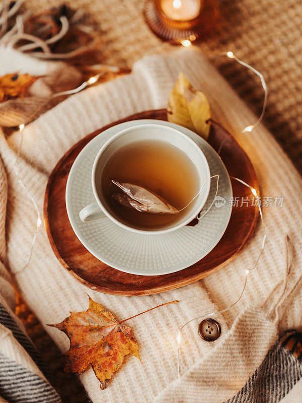 舒适的秋天茶杯静物与柔软的毛衣和灯