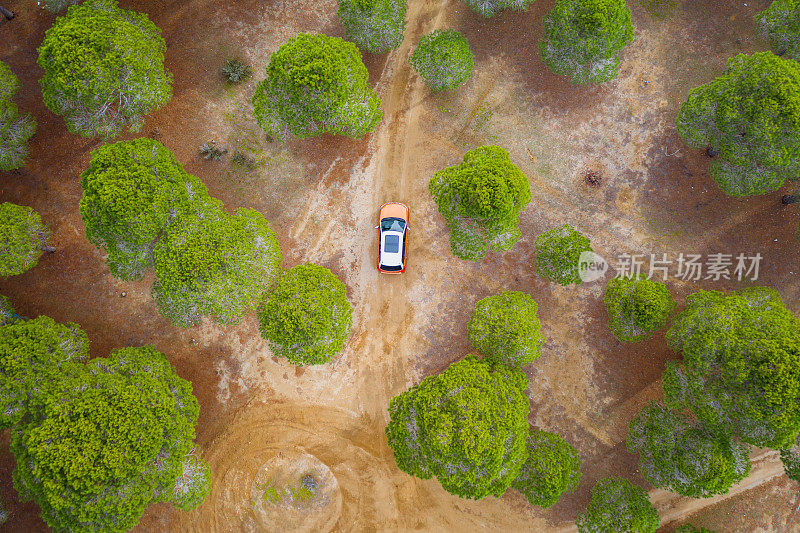 越野车行驶在泥木森林道路的俯视图