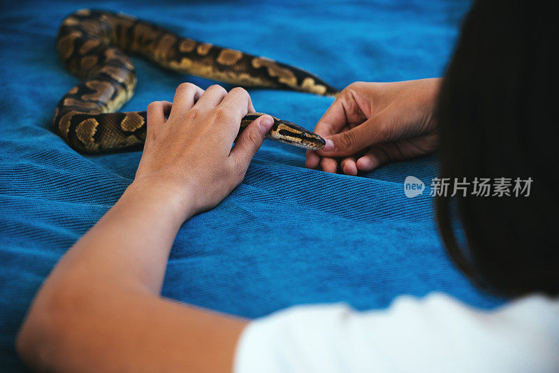 十几岁的女孩带着漂亮的宠物蛇