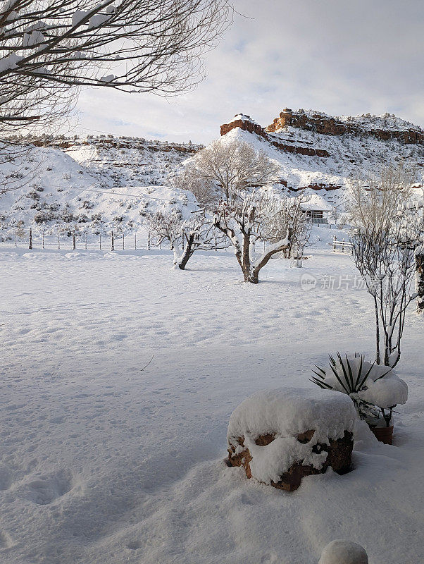 犹他州洛克维尔的下雪天和前院