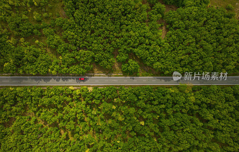 鸟瞰郊区树木之间的道路