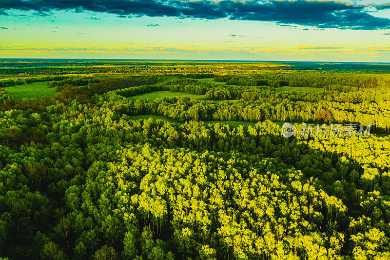 可持续资源背景。森林鸟瞰图。无人机摄影。春天。可持续性。