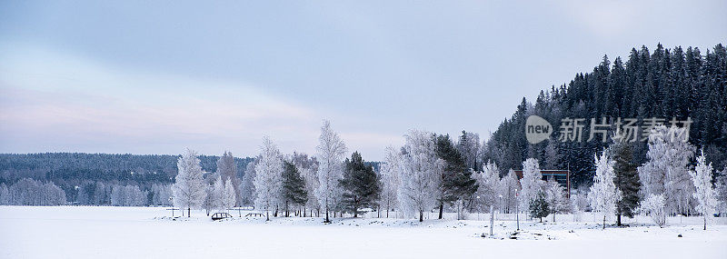 冬天的风景。冰雪覆盖的冰湖，在湖的岸边有一片白雪覆盖的森林。