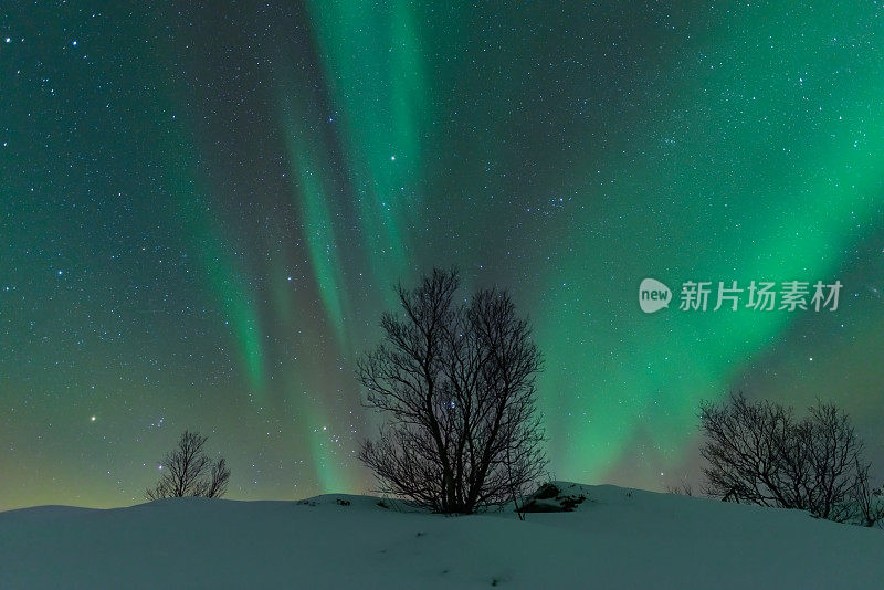 挪威罗弗敦群岛上空的北极光