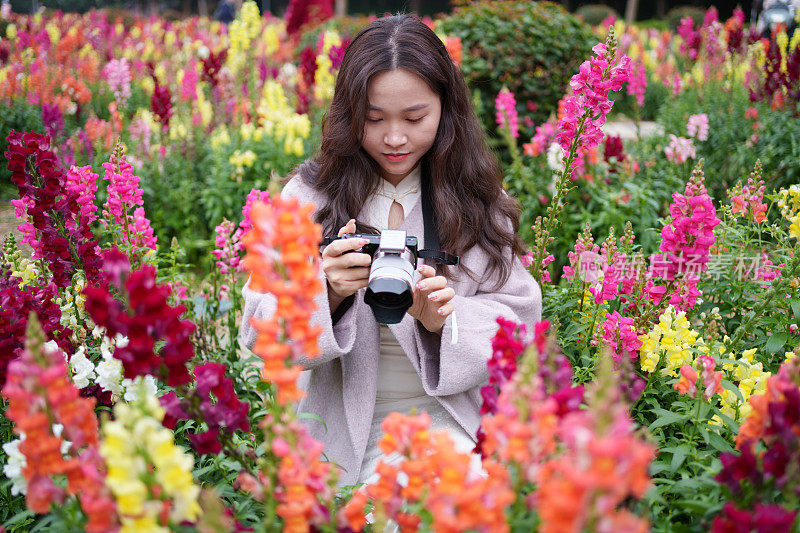 花丛中的女游客