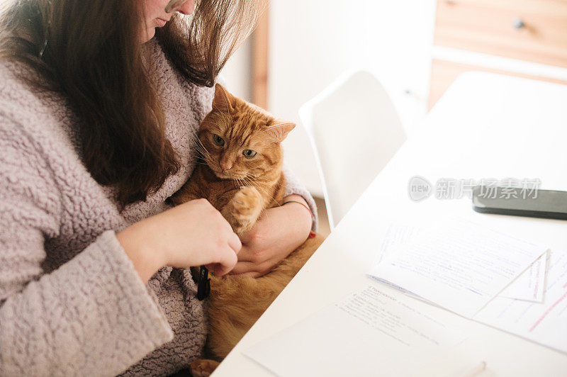 怀里抱着猫的女人