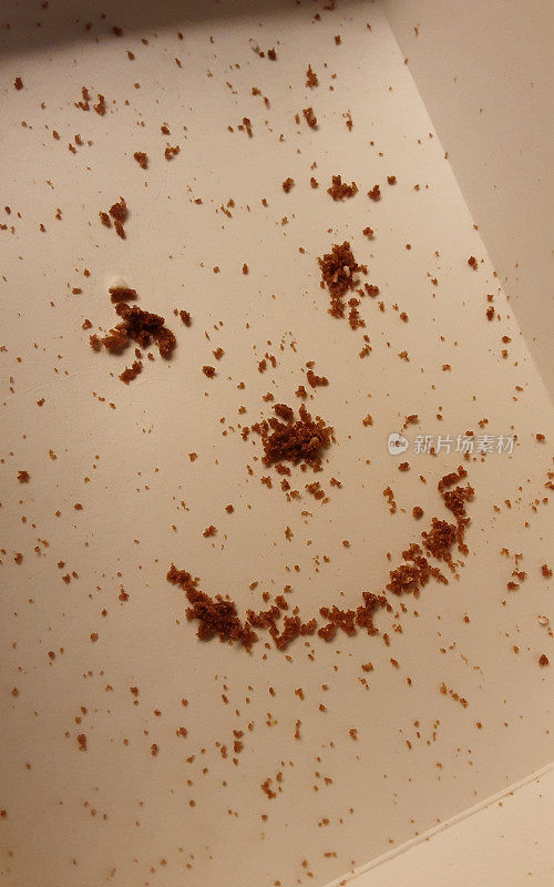 用巧克力饼干屑在纸板箱里做成的笑脸。