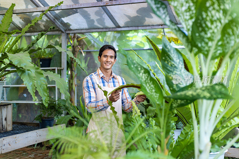 一名亚洲园丁正在热带雨林外来植物的温室内检查病虫害