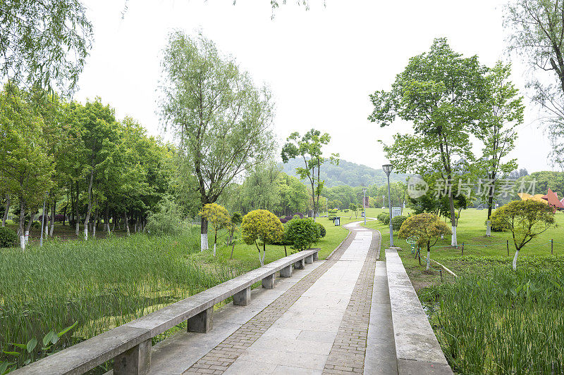 春天公园绿树成荫，步道林立