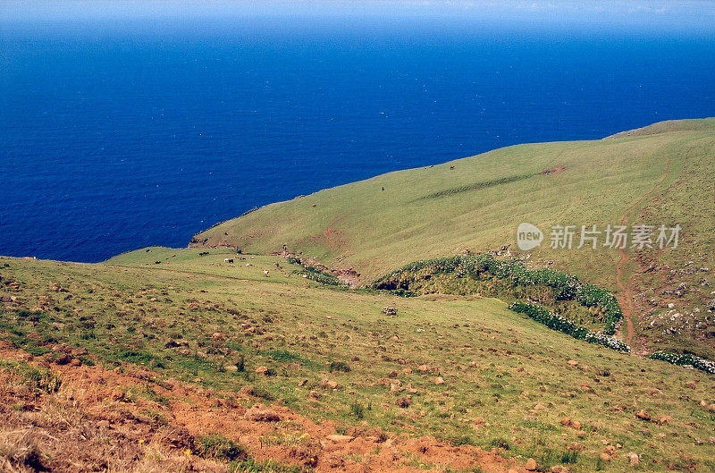 乌鸦岛