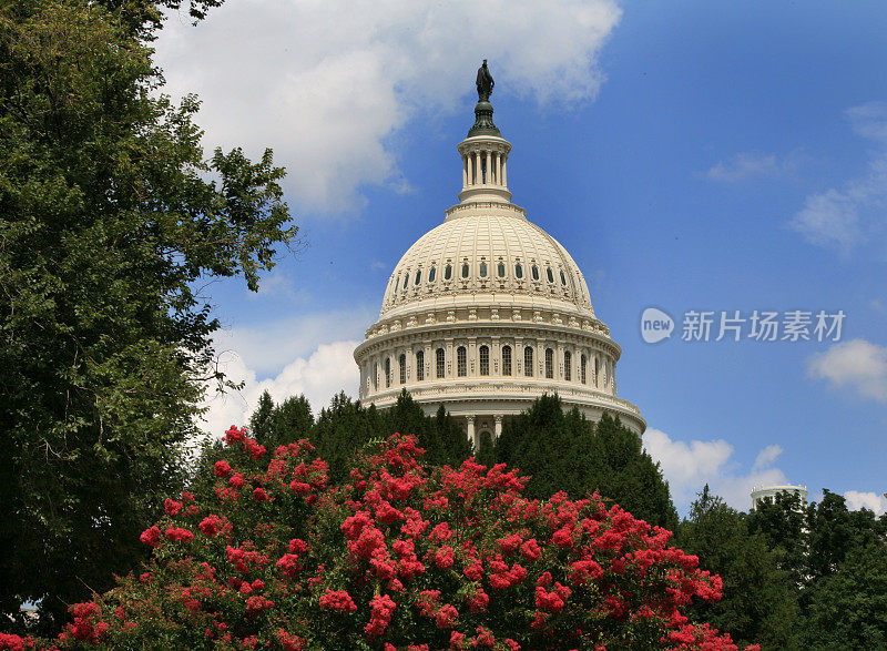 美国国会大厦，华盛顿特区，春天