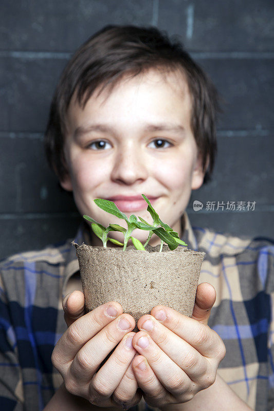 手里拿着绿芽的男孩。