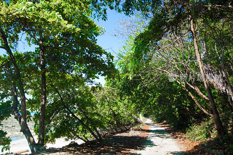 哥斯达黎加海滩边的雨林之路